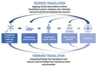 Infographic describing the reverse and forward translation process from molecular research, animal research, human research, and clinical practice